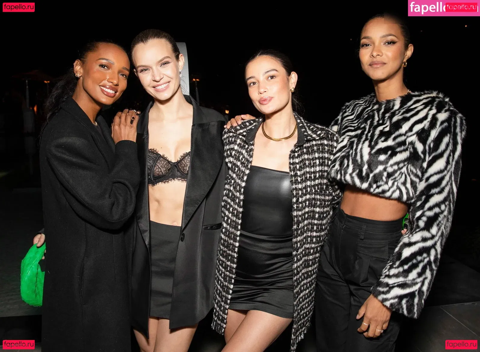 Josephine Skriver Onlyfans Photo Gallery 