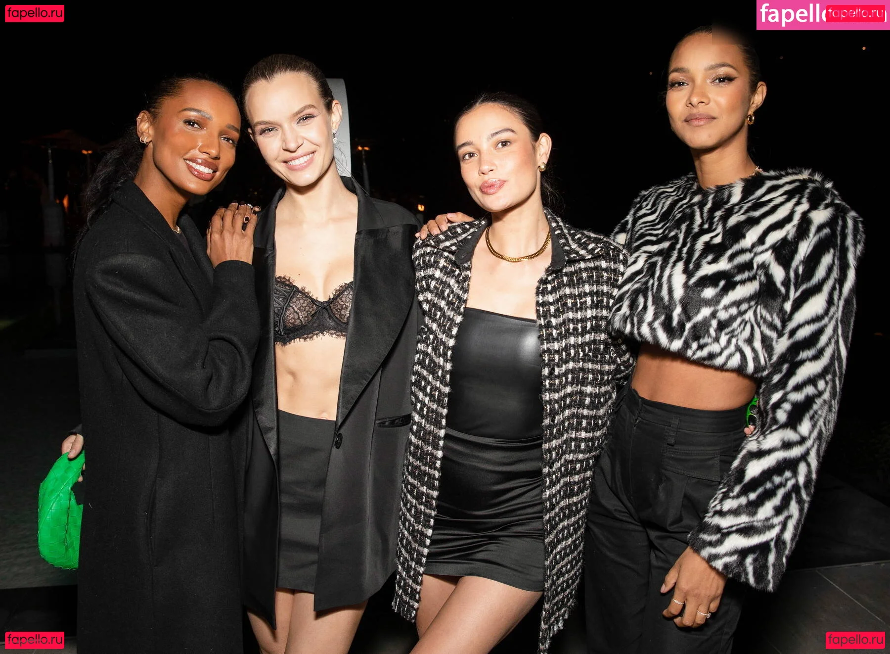 Josephine Skriver Onlyfans Photo Gallery 