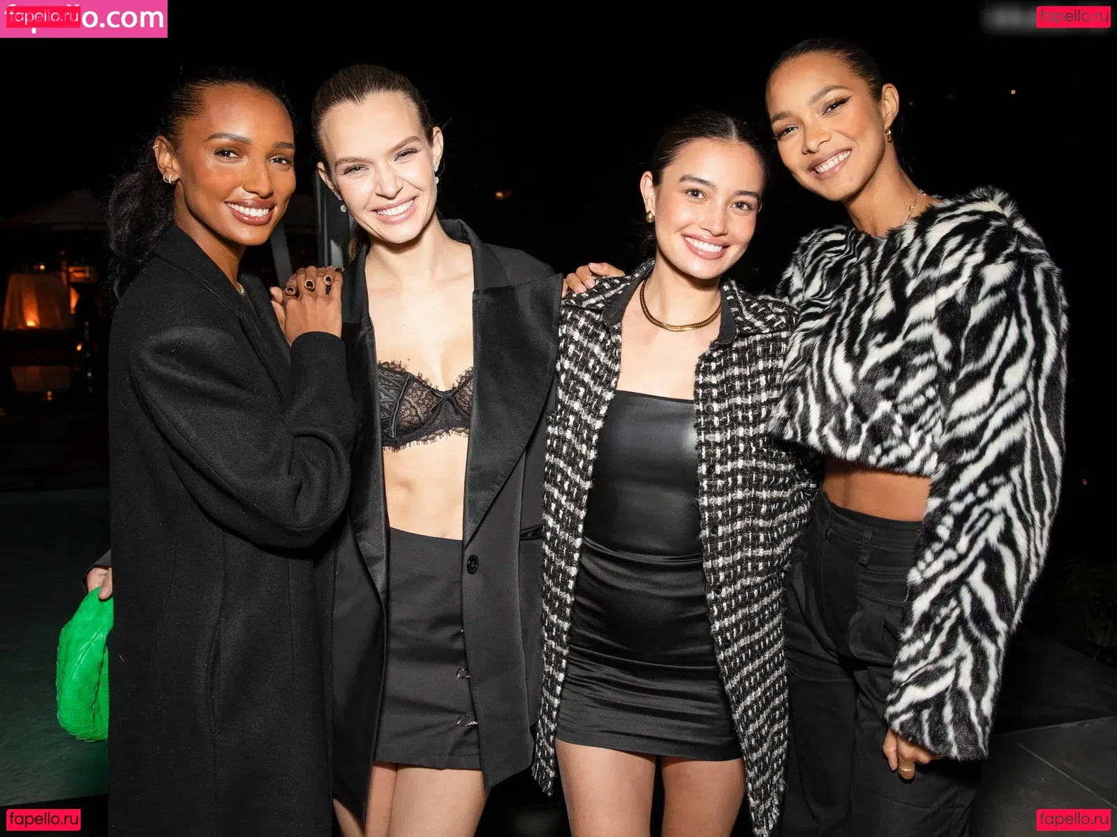 Josephine Skriver Onlyfans Photo Gallery 