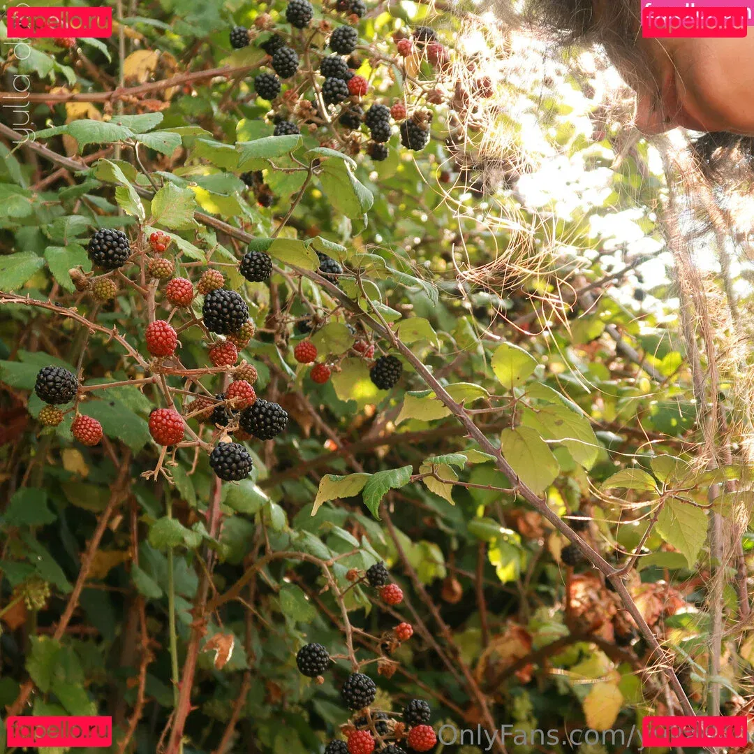 yulladao Onlyfans Photo Gallery 