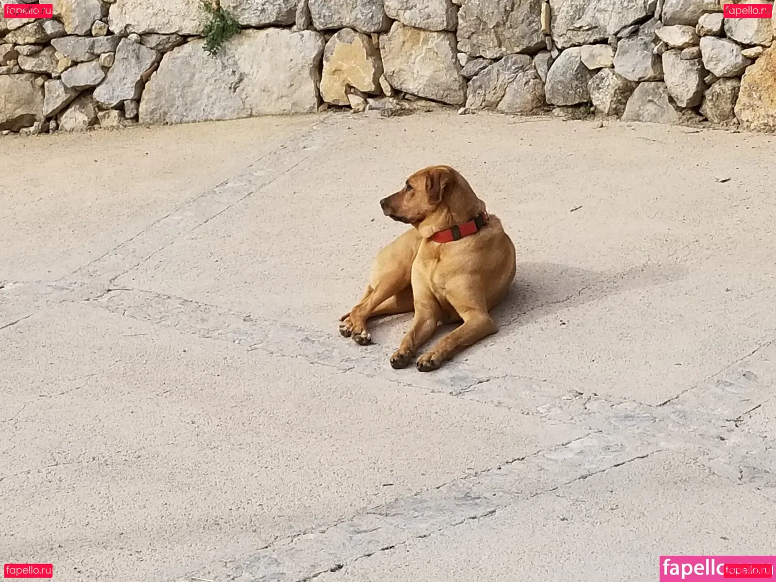 tommypistol Onlyfans Photo Gallery 