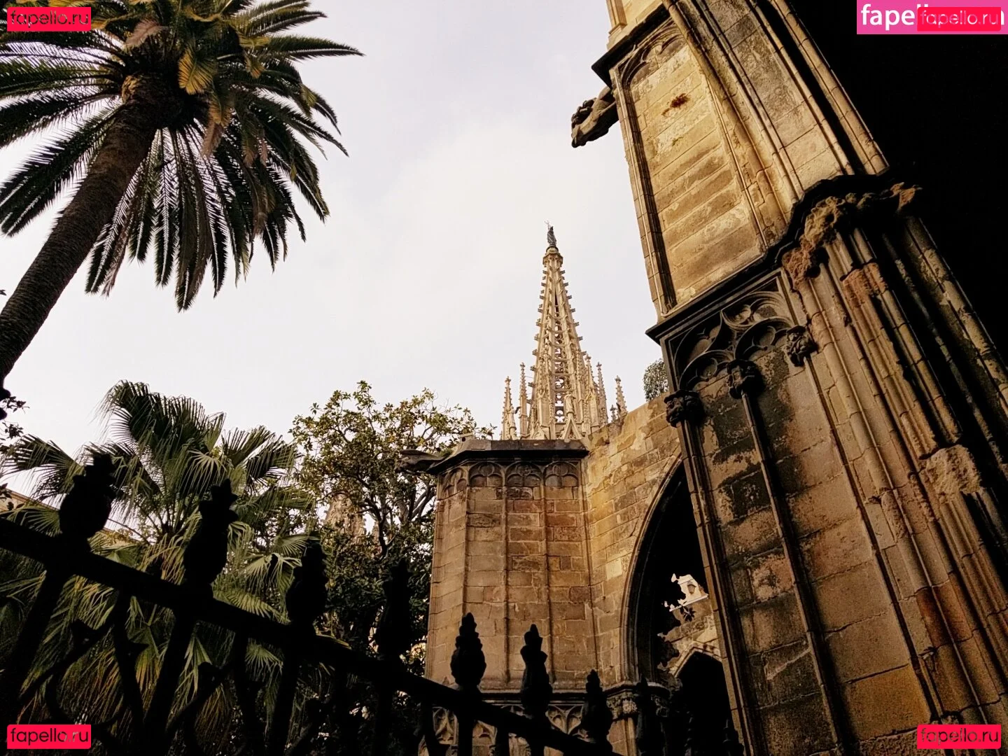 tommypistol Onlyfans Photo Gallery 