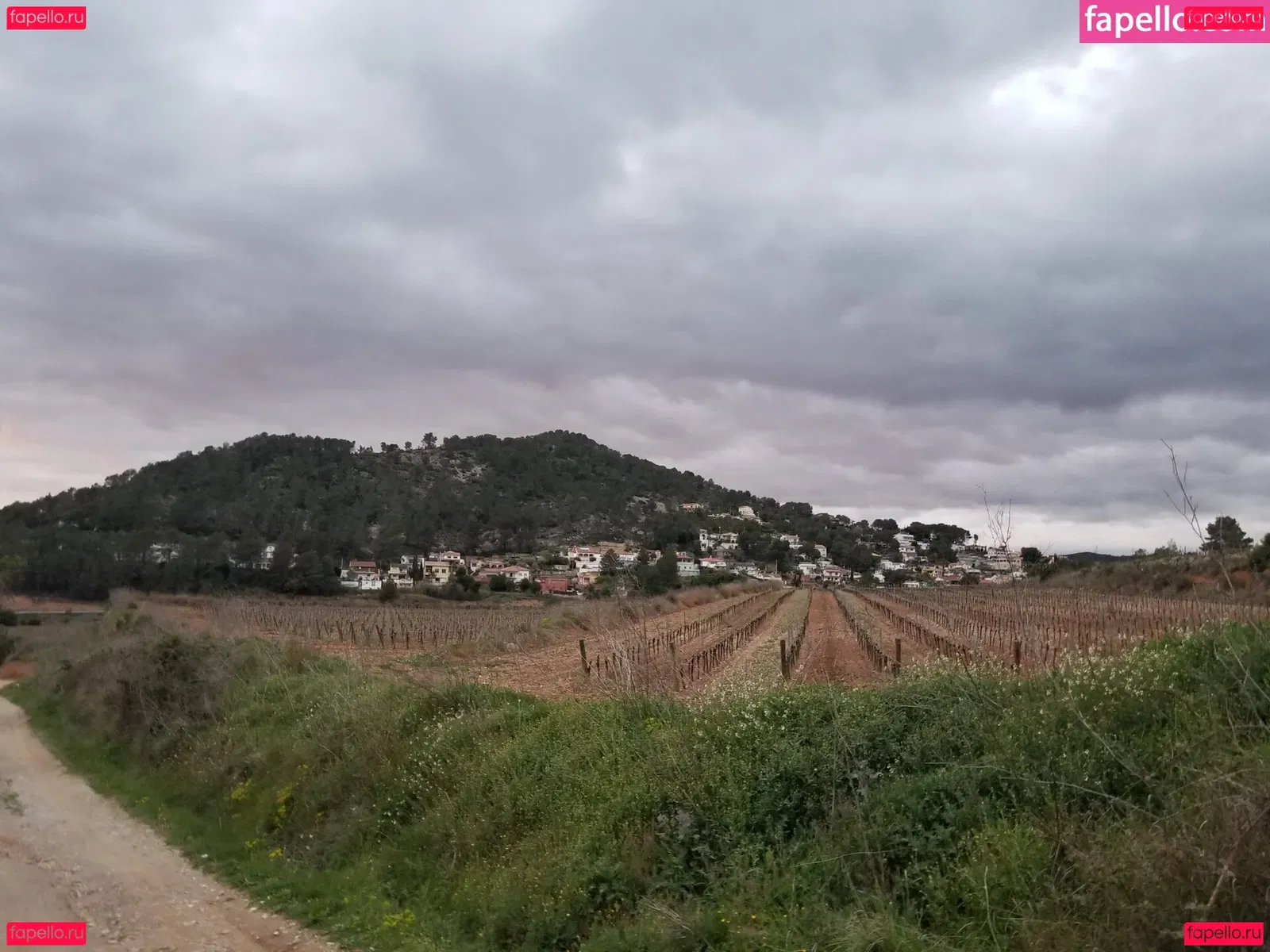 tommypistol Onlyfans Photo Gallery 