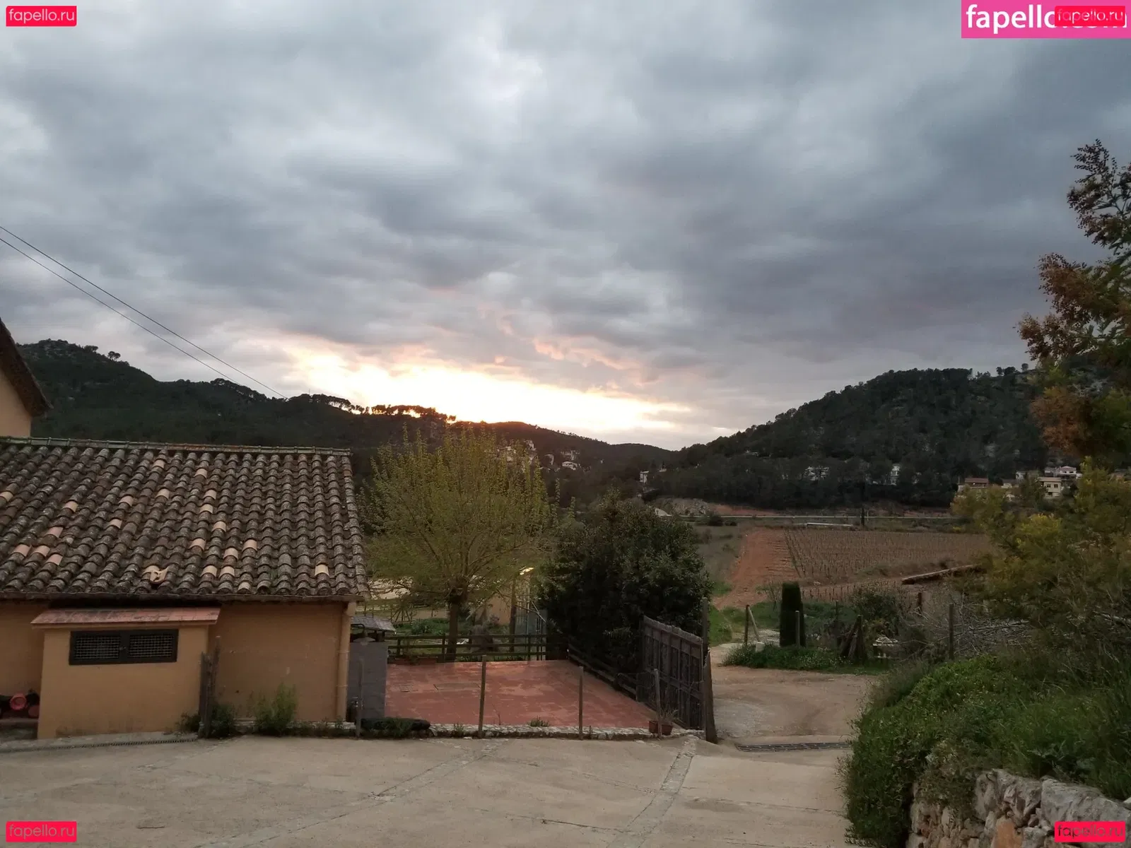 tommypistol Onlyfans Photo Gallery 