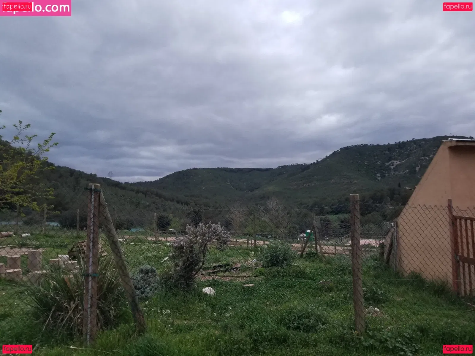 tommypistol Onlyfans Photo Gallery 