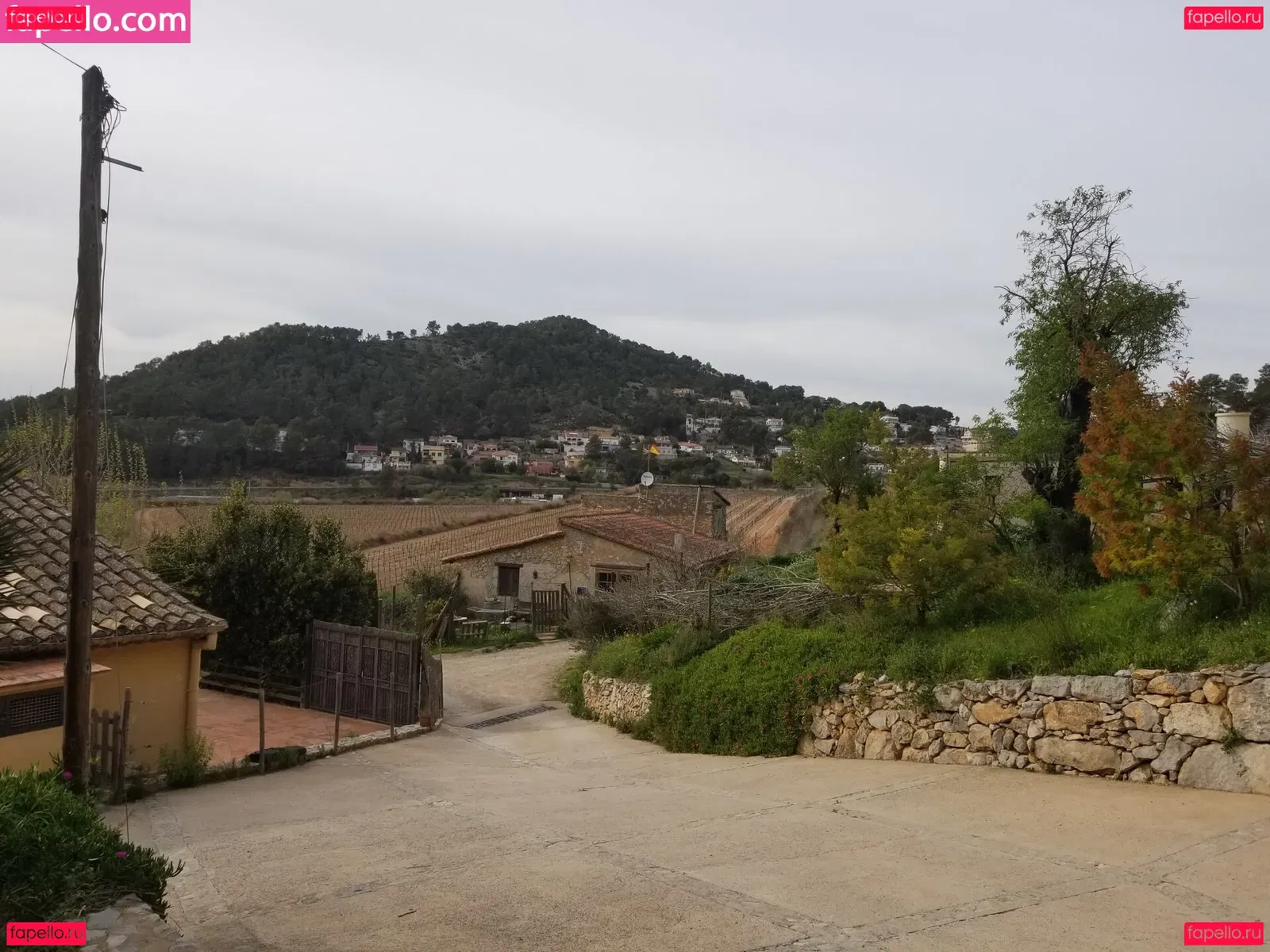 tommypistol Onlyfans Photo Gallery 