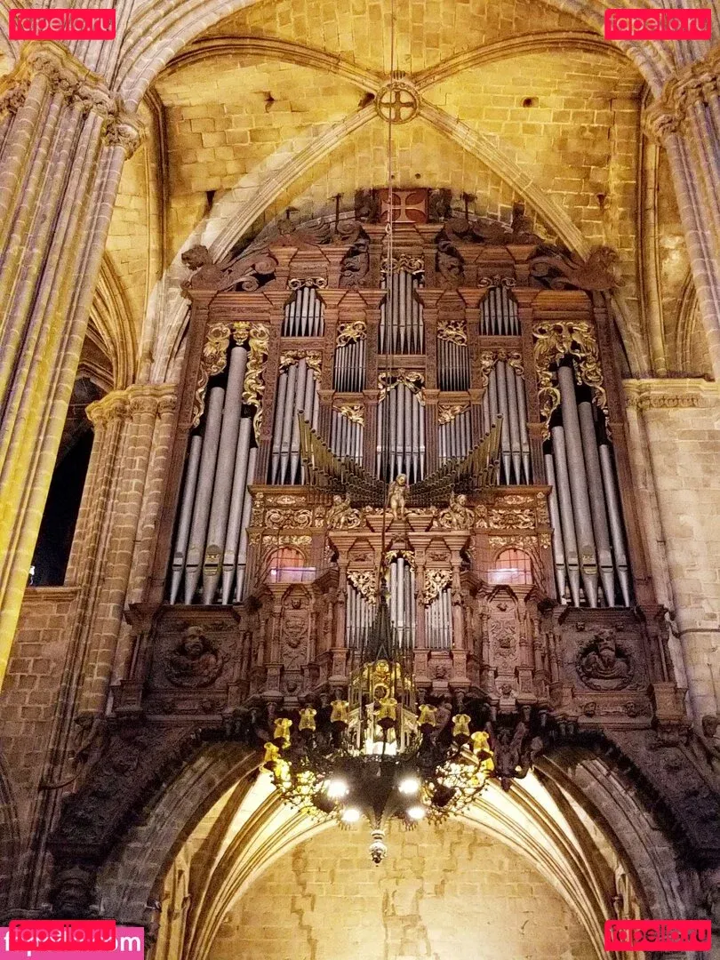 tommypistol Onlyfans Photo Gallery 