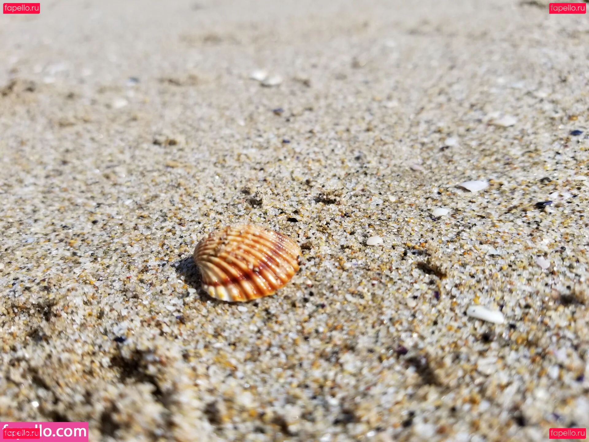 tommypistol Onlyfans Photo Gallery 