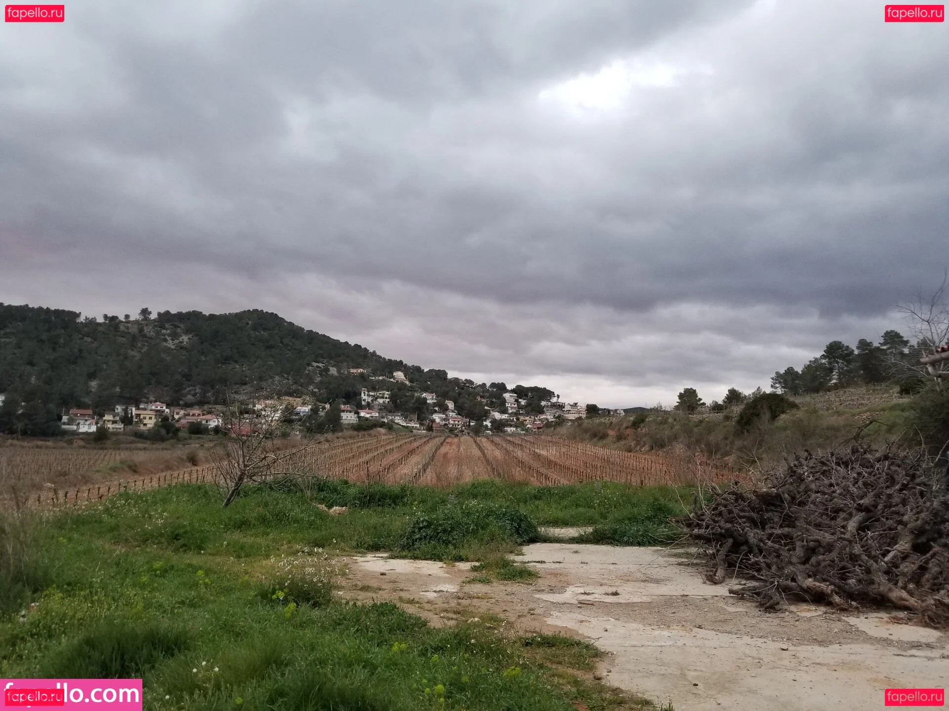 tommypistol Onlyfans Photo Gallery 