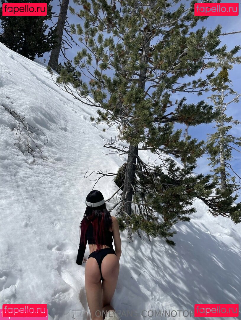 notoriousnikki Nude Onlyfans Photo 17