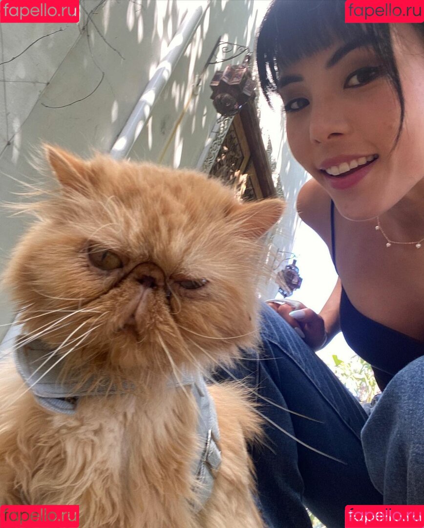 Anna Akana Onlyfans Photo Gallery 