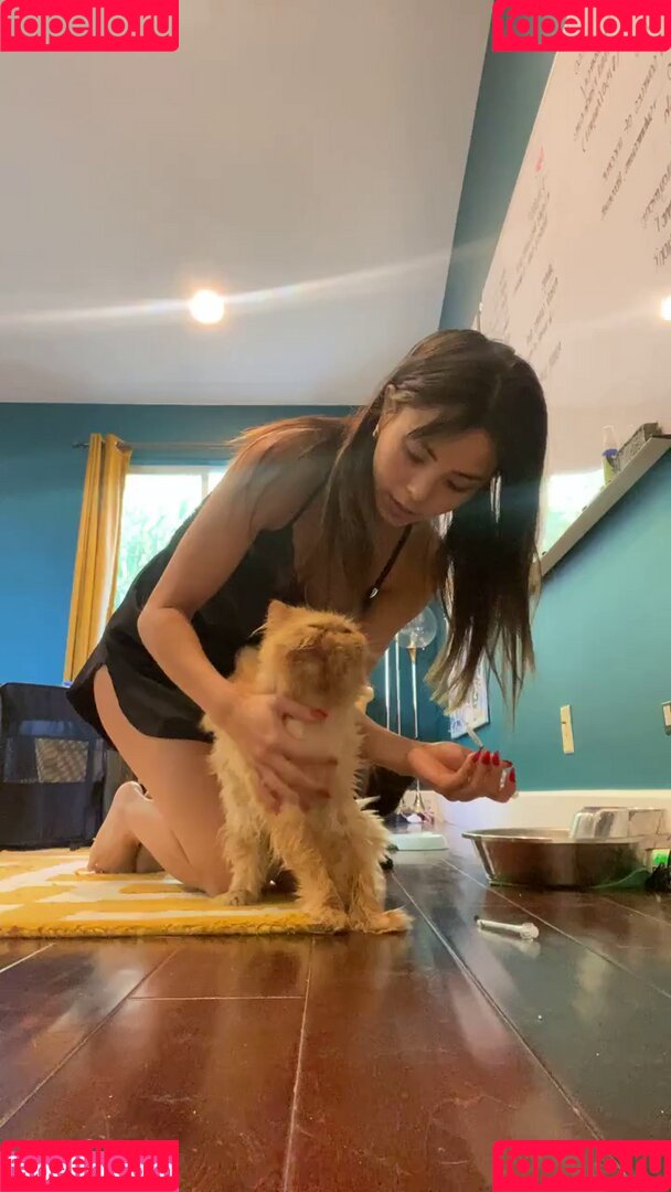 Anna Akana Onlyfans Photo Gallery 