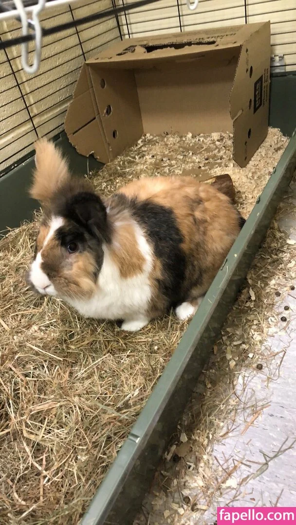 lothianjamie Onlyfans Photo Gallery 