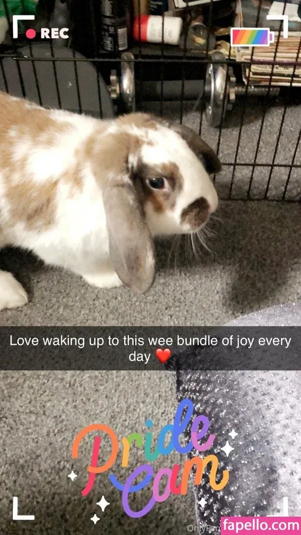 lothianjamie Onlyfans Photo Gallery 