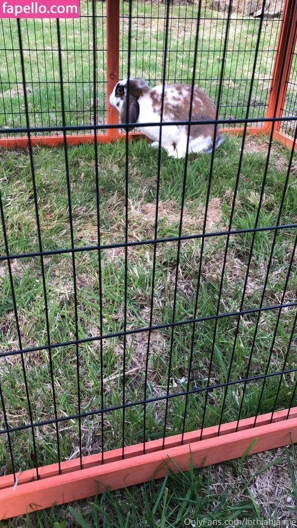 lothianjamie Onlyfans Photo Gallery 