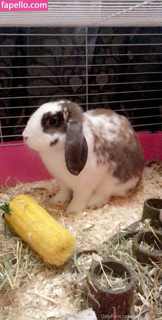 lothianjamie Onlyfans Photo Gallery 