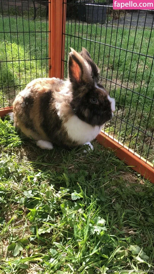 lothianjamie Onlyfans Photo Gallery 