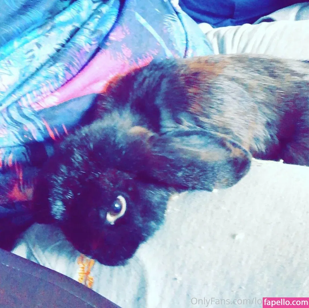 lothianjamie Onlyfans Photo Gallery 