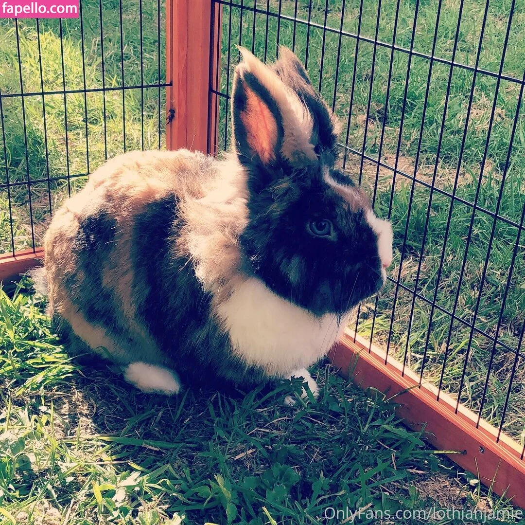 lothianjamie Onlyfans Photo Gallery 