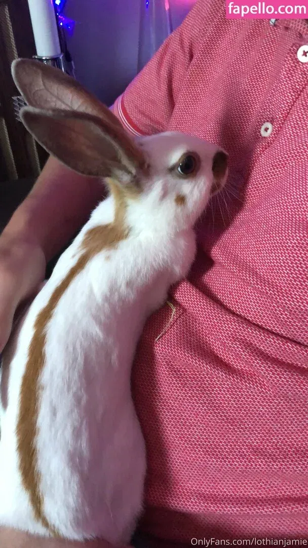 lothianjamie Onlyfans Photo Gallery 