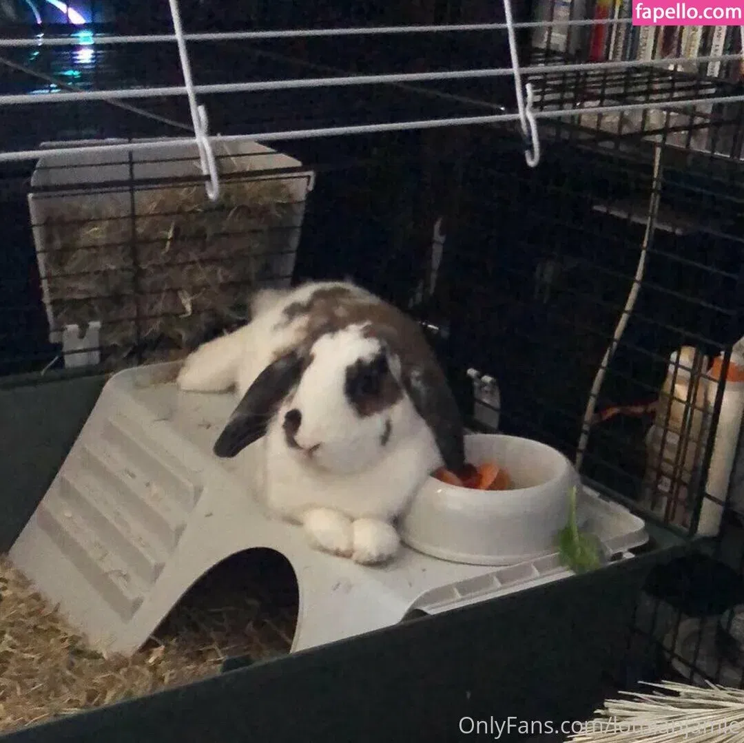 lothianjamie Onlyfans Photo Gallery 