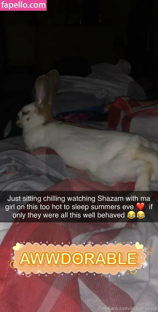 lothianjamie Onlyfans Photo Gallery 