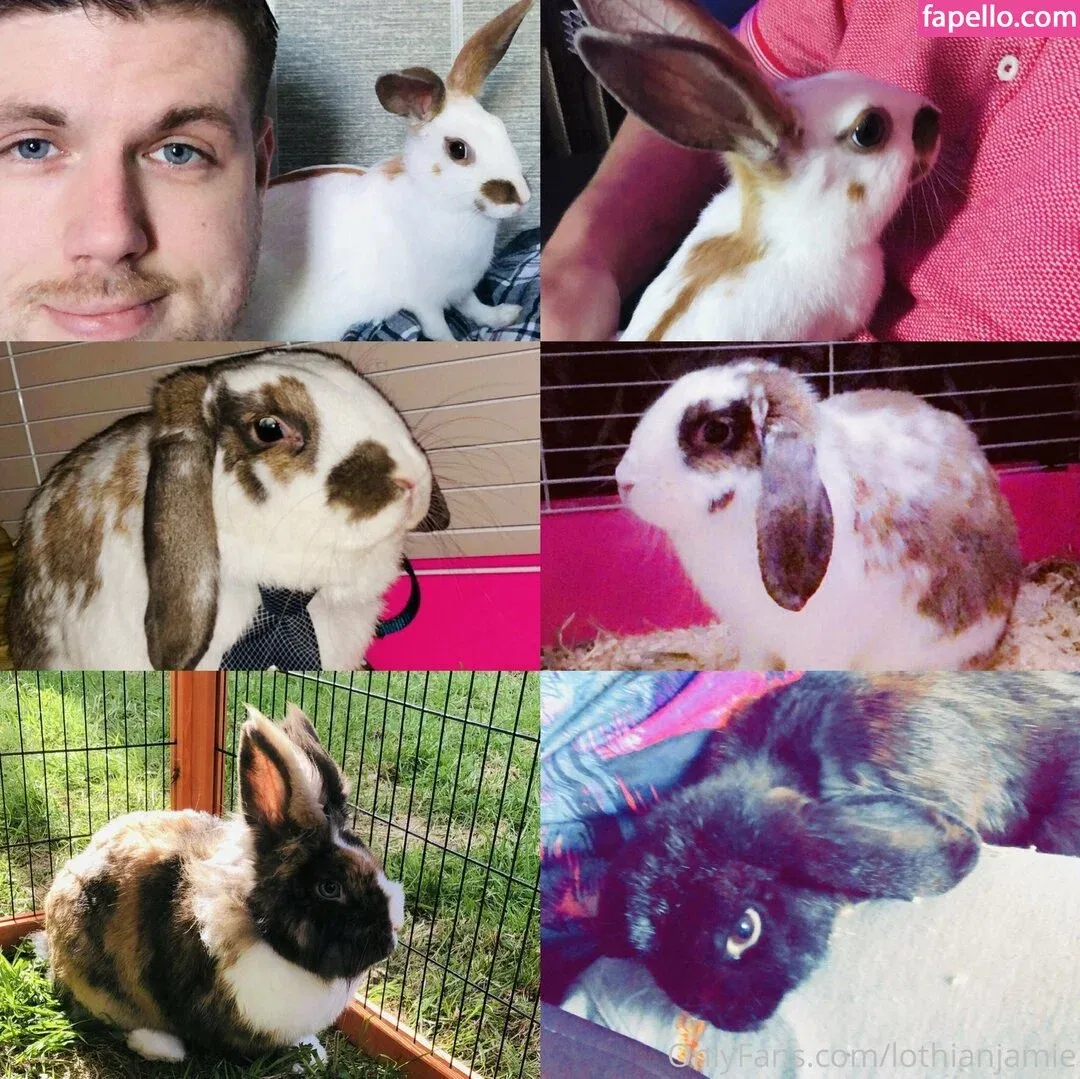 lothianjamie Onlyfans Photo Gallery 