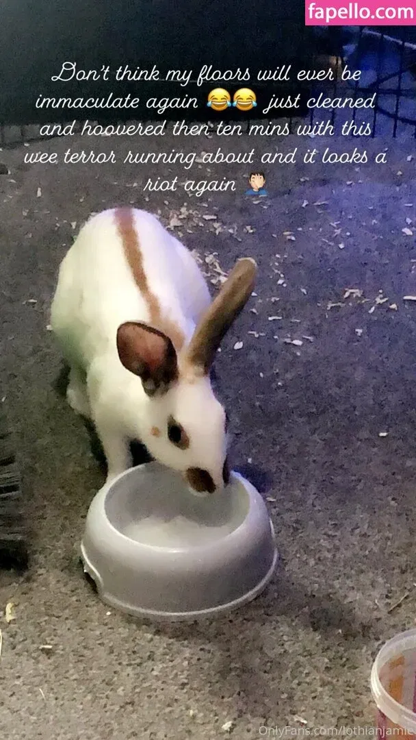 lothianjamie Onlyfans Photo Gallery 