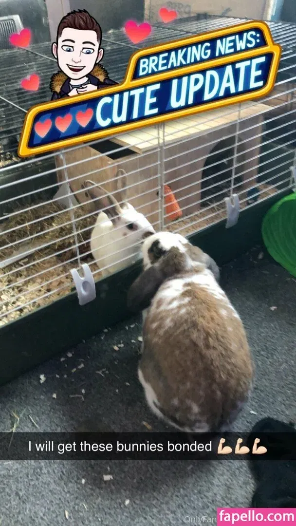 lothianjamie Onlyfans Photo Gallery 