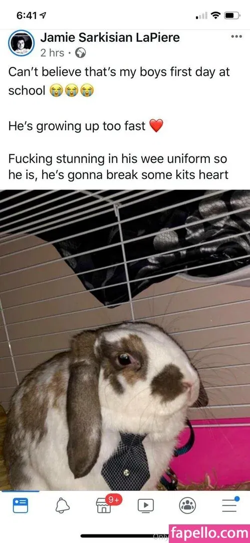 lothianjamie Onlyfans Photo Gallery 