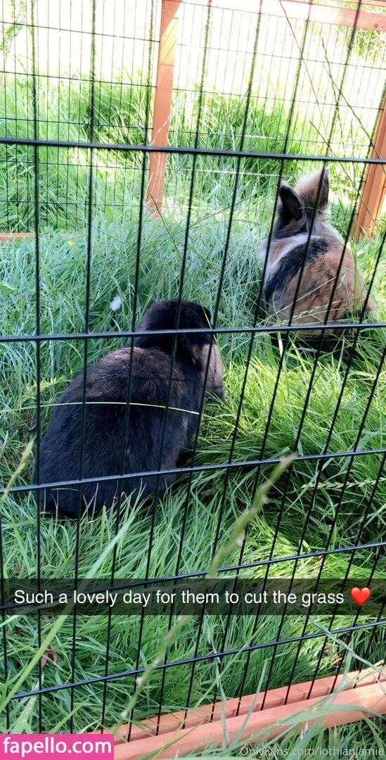 lothianjamie Onlyfans Photo Gallery 