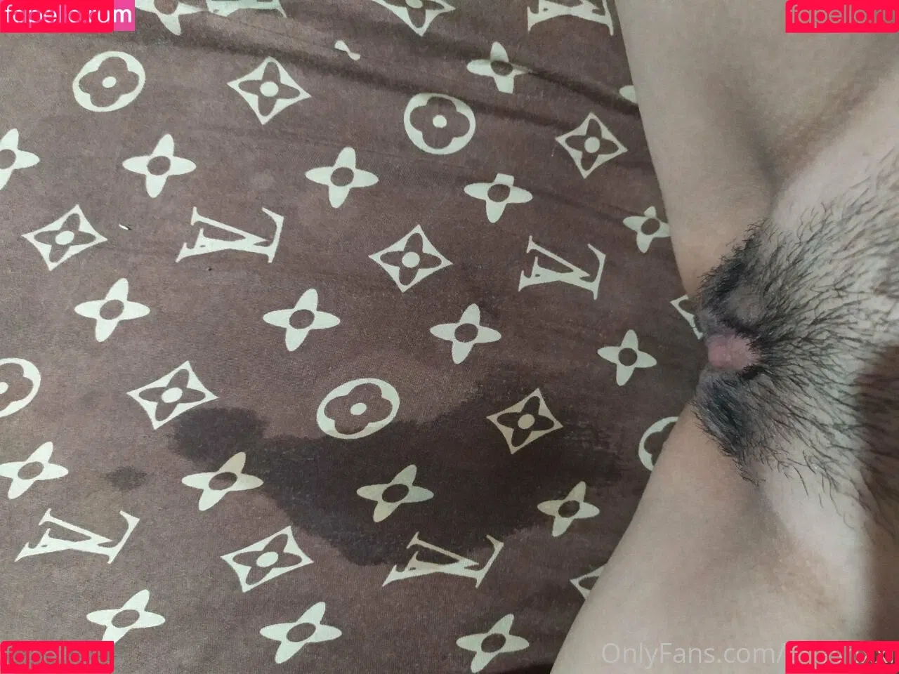 anashxxi Onlyfans Photo Gallery 