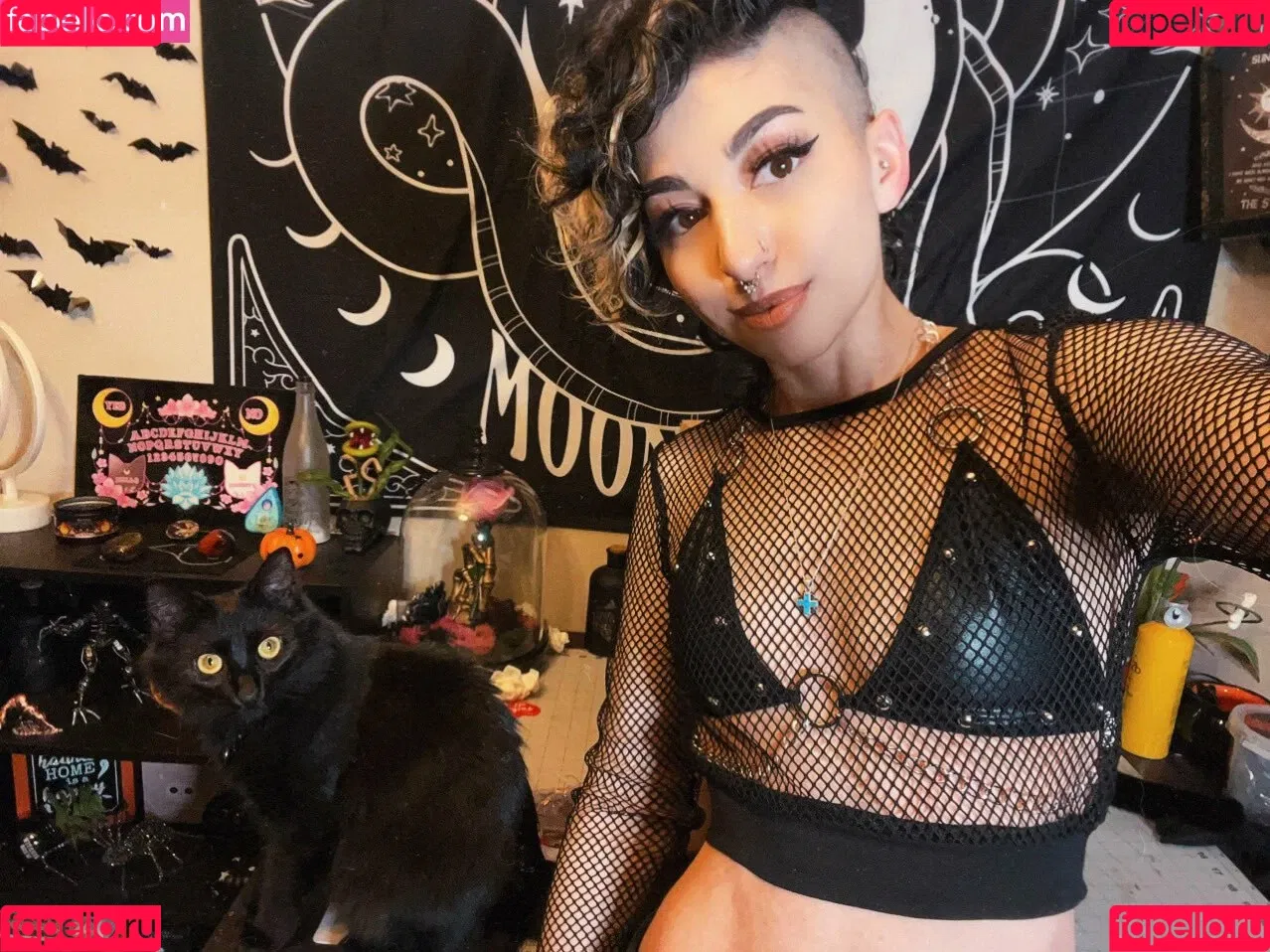 SailorTabbyCat Onlyfans Photo Gallery 