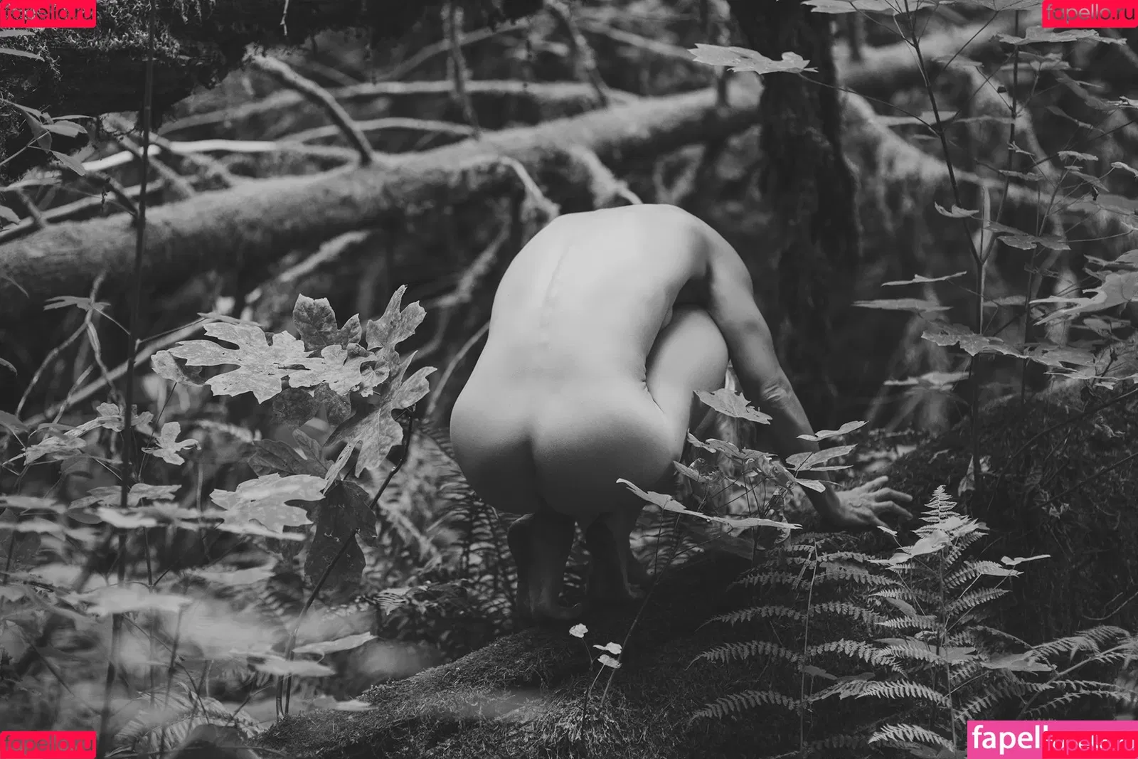 AudriAsana Onlyfans Photo Gallery 