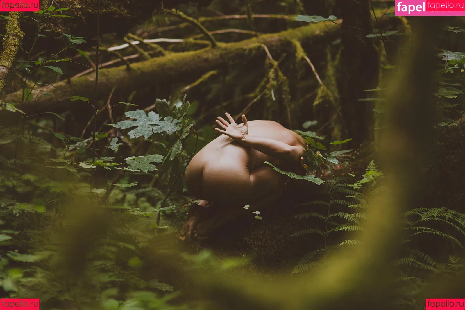 AudriAsana Onlyfans Photo Gallery 