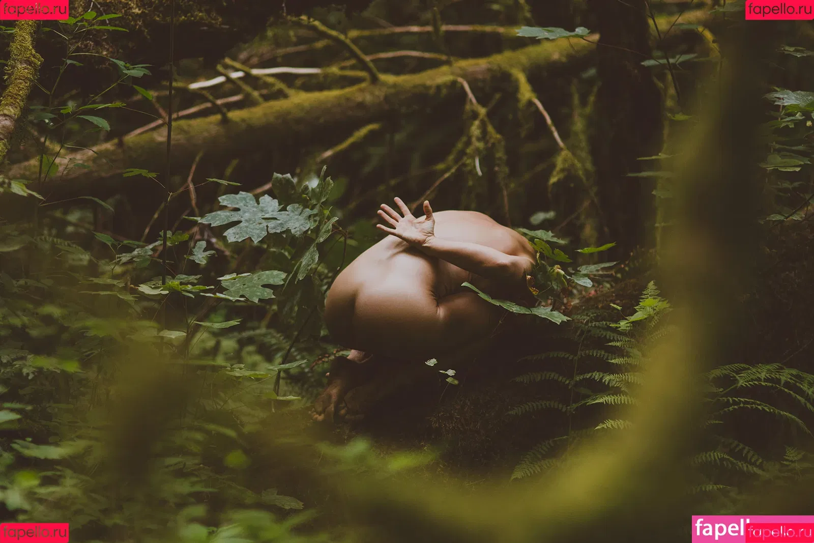 AudriAsana Onlyfans Photo Gallery 