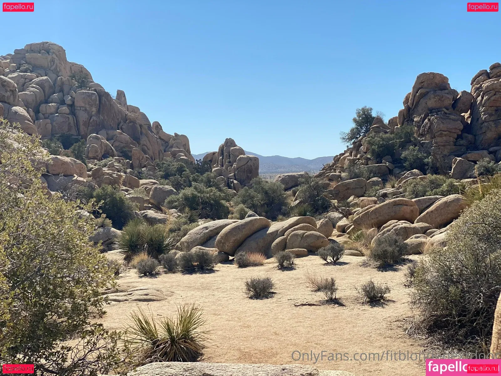 fitblondenextdoor Onlyfans Photo Gallery 