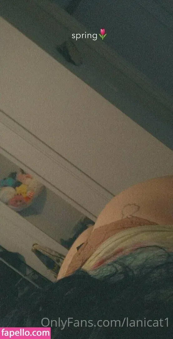 lanicat1 Onlyfans Photo Gallery 