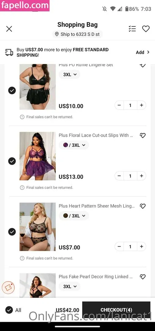 lanicat1 Onlyfans Photo Gallery 