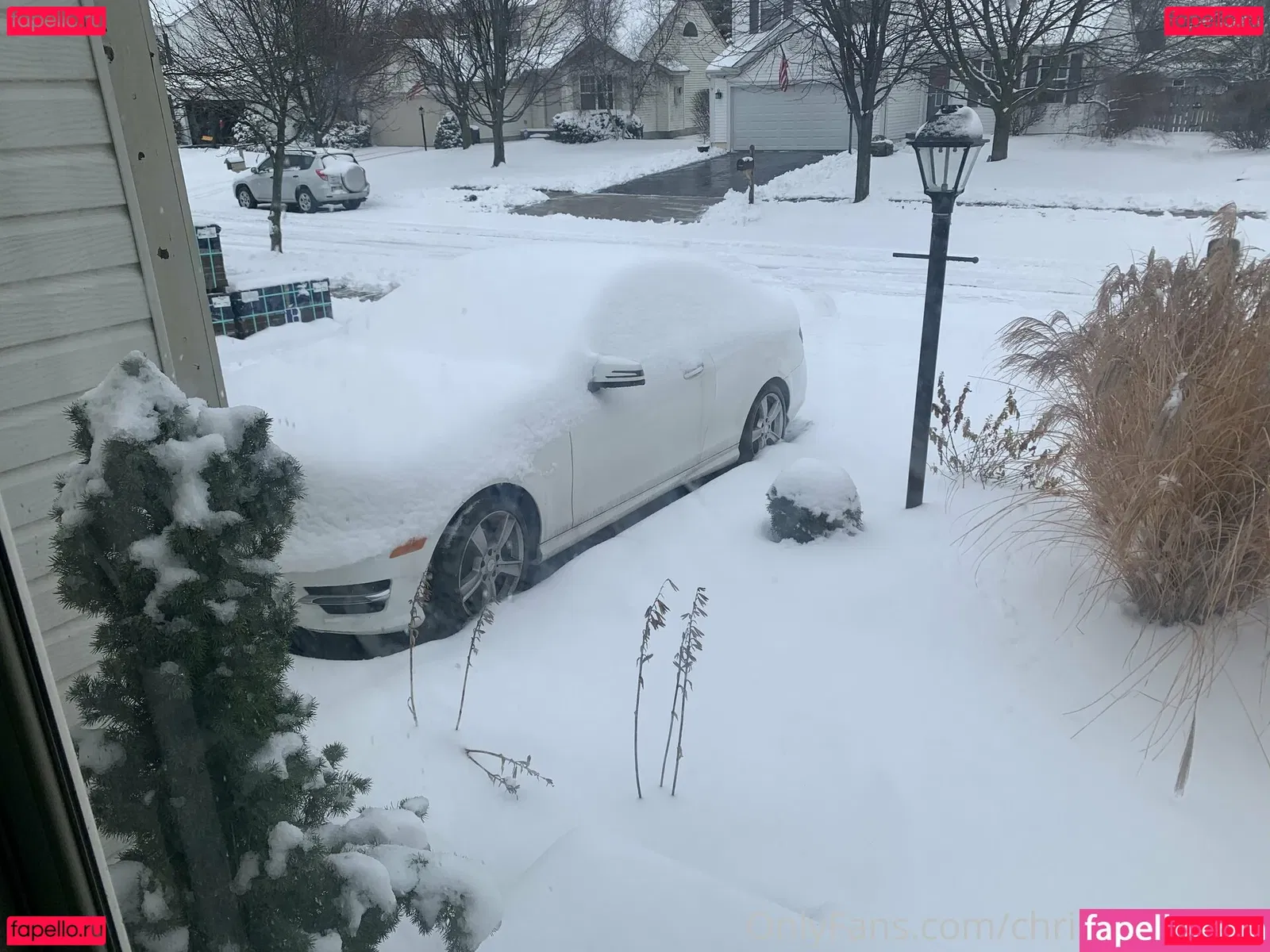 christinacarter Onlyfans Photo Gallery 