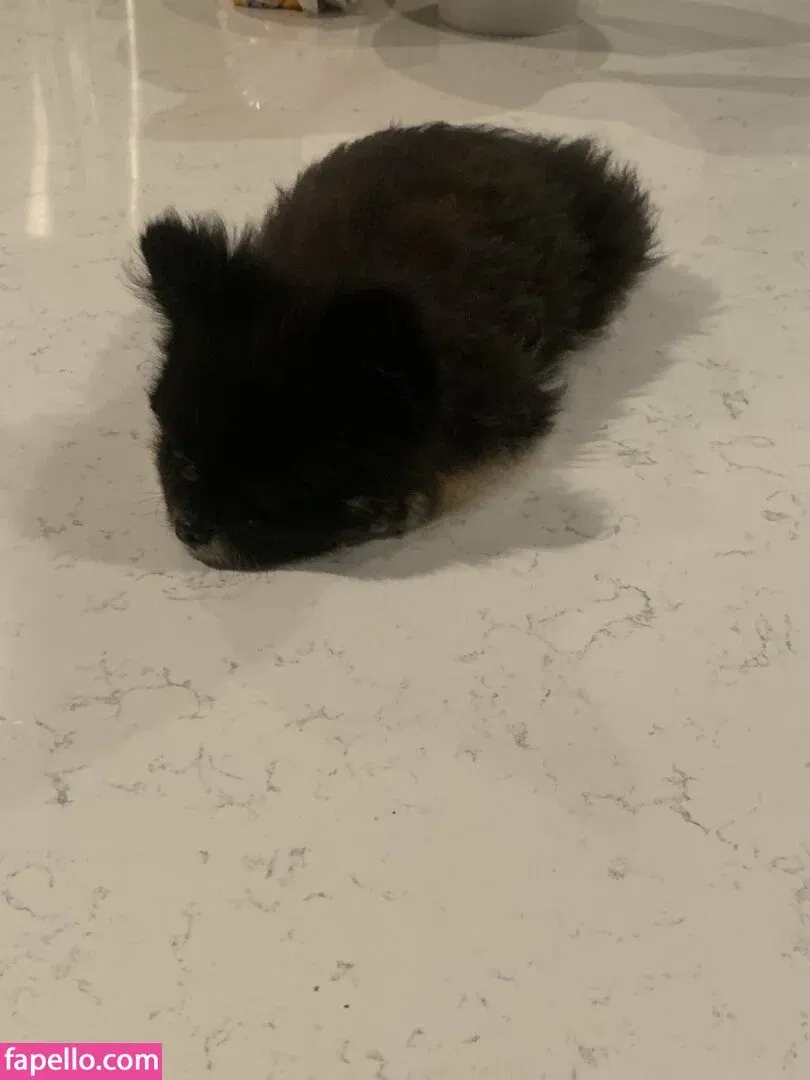 scout Onlyfans Photo Gallery 