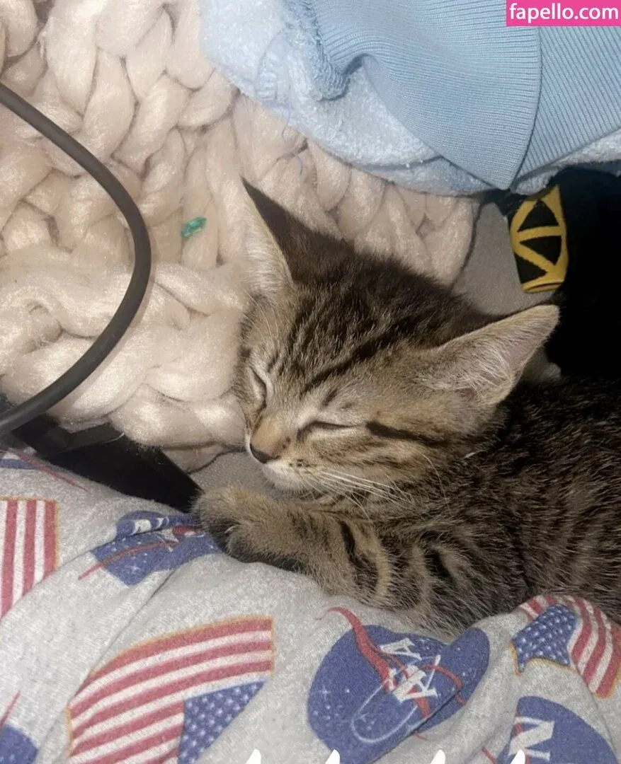 Sami Brielle Onlyfans Photo Gallery 