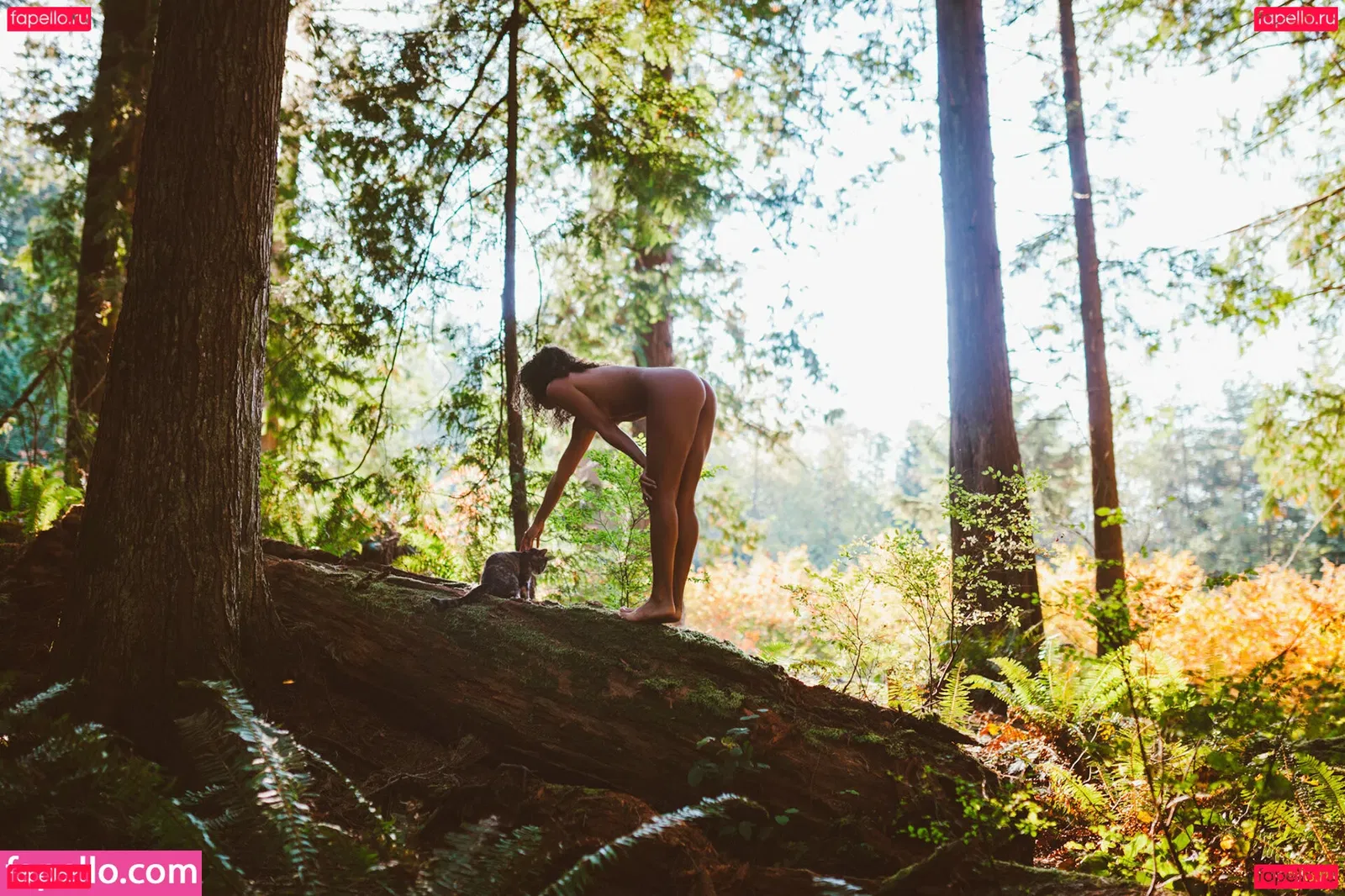 India Williams Onlyfans Photo Gallery 