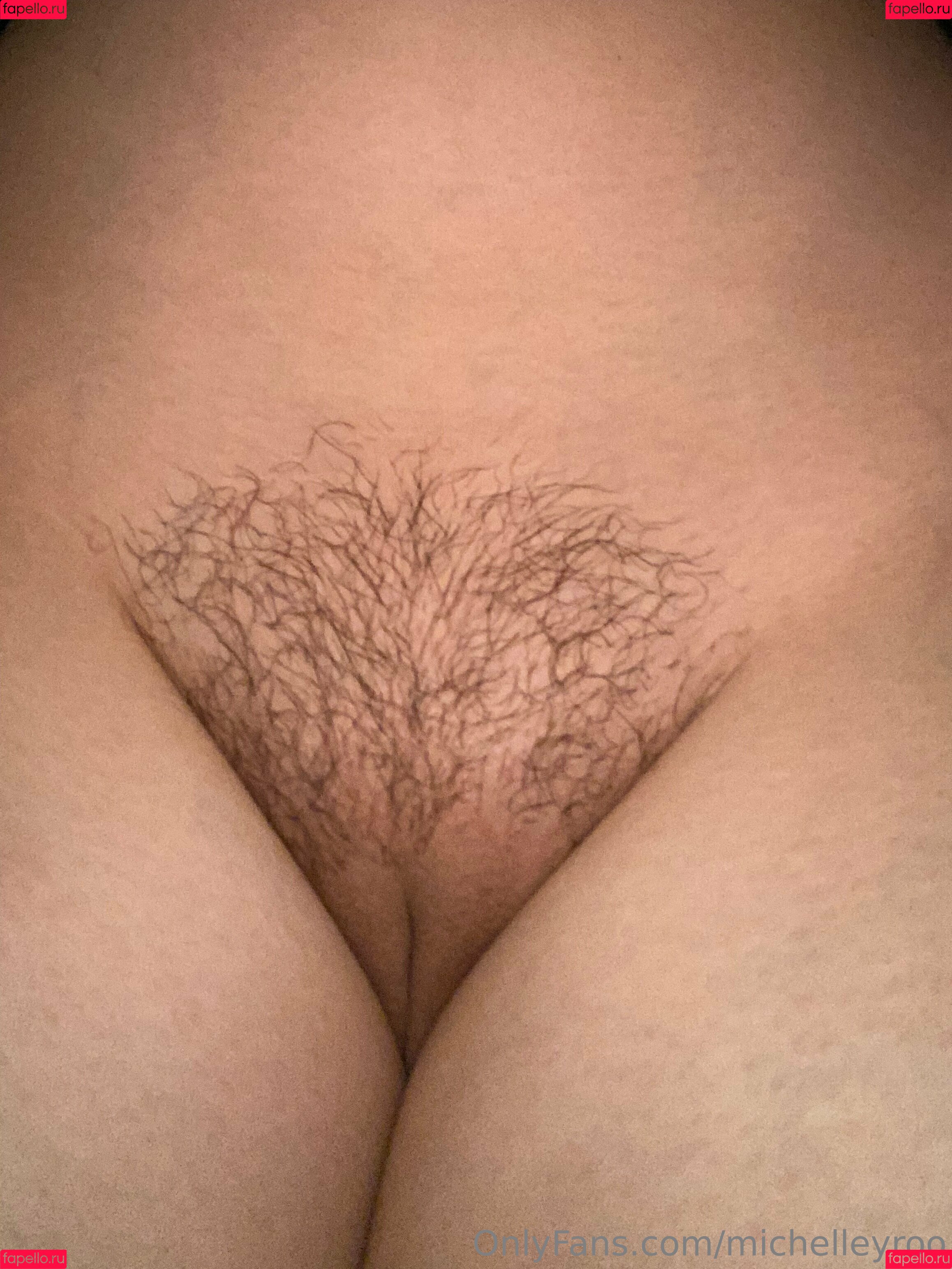 Michelleyroo Onlyfans Photo Gallery 