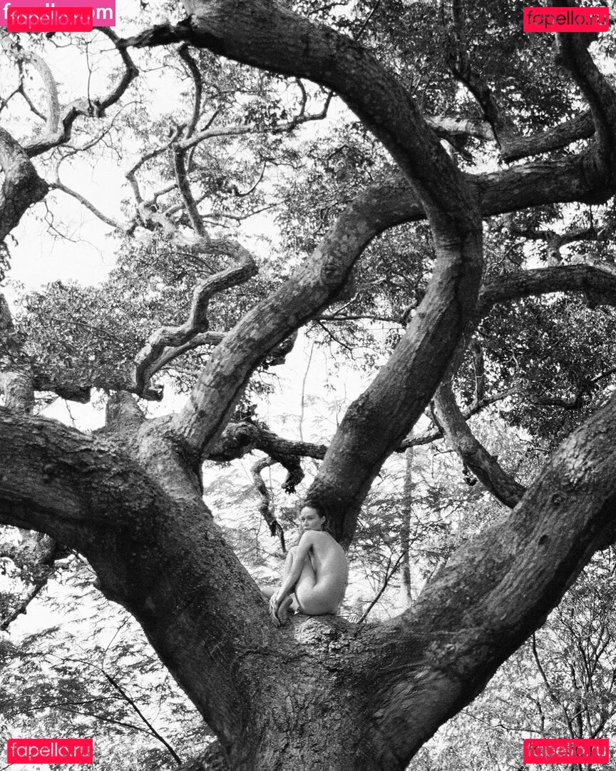 Mariana Ximenes Onlyfans Photo Gallery 