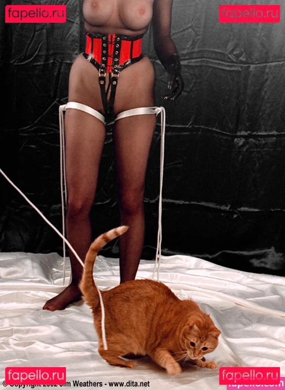 Dita Von Teese Onlyfans Photo Gallery 