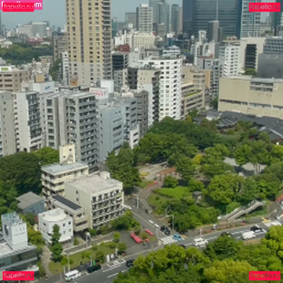 Mia Nanasawa Onlyfans Photo Gallery 