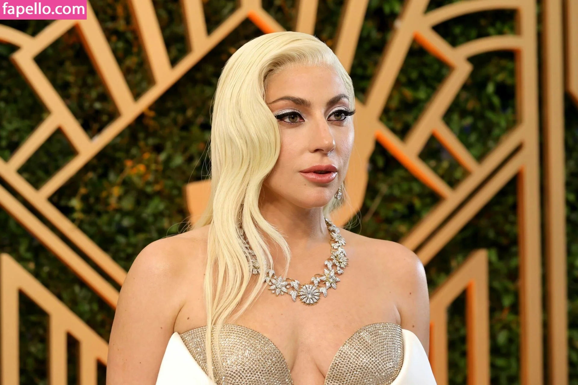 Lady Gaga Onlyfans Photo Gallery 