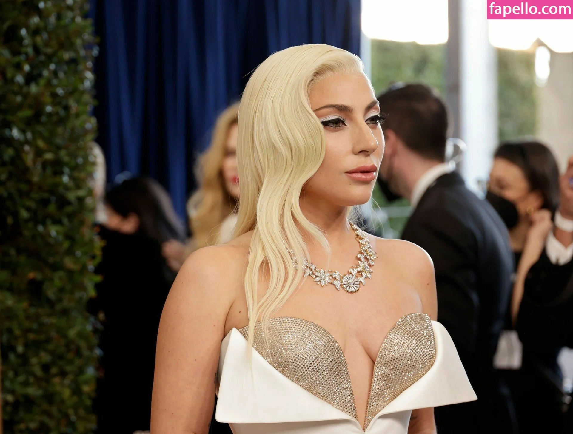 Lady Gaga Onlyfans Photo Gallery 
