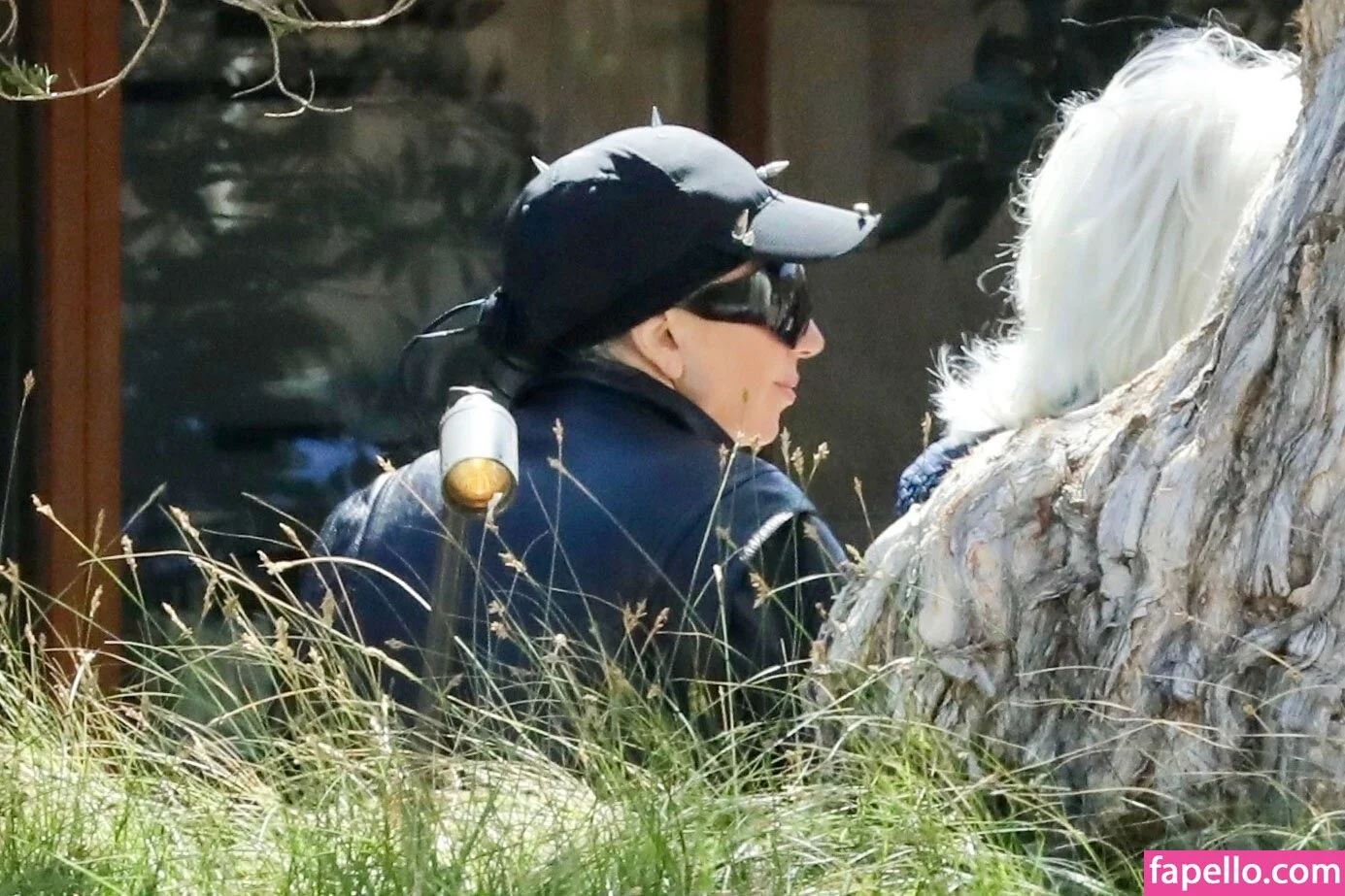 Lady Gaga Onlyfans Photo Gallery 